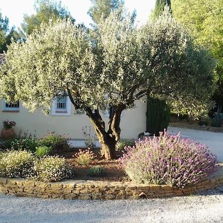 Maison Privee Au Calme Dans Mas Provencal Villa Санари-сюр-Мер Екстериор снимка