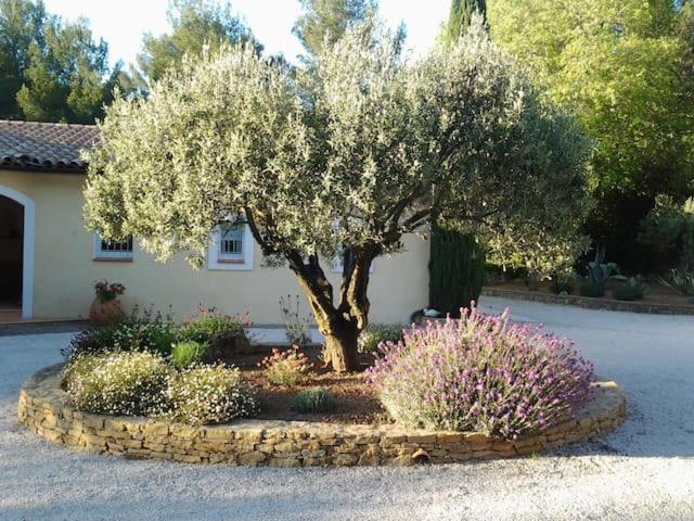 Maison Privee Au Calme Dans Mas Provencal Villa Санари-сюр-Мер Екстериор снимка
